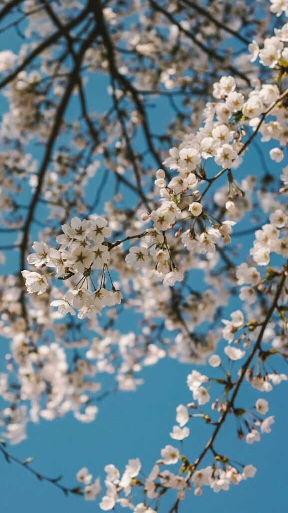 Photo by [WS Chae] on Unsplash